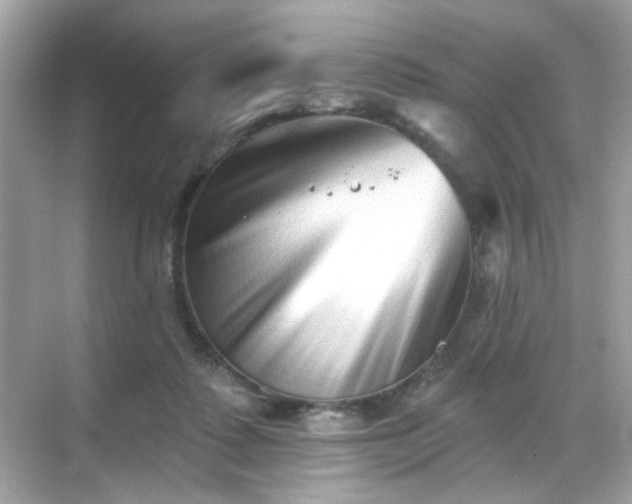 X0000068720315200605051440