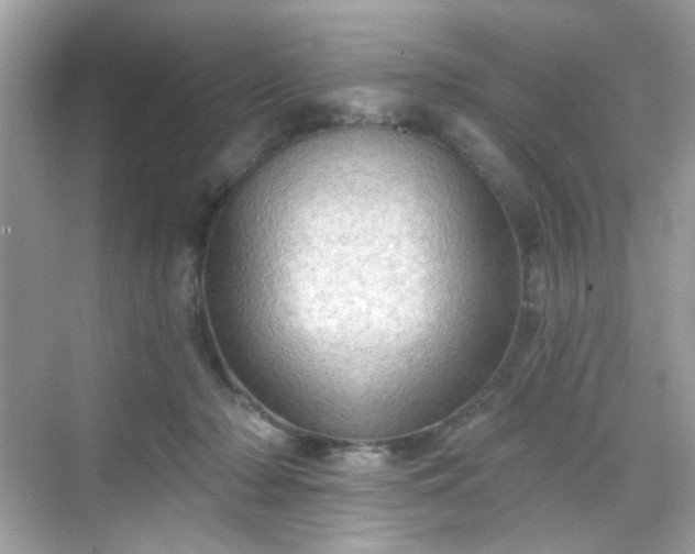 X0000068720318200605051440