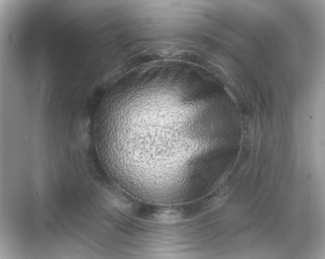 X0000068720319200605051440