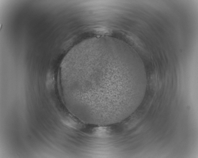 X0000068720320200605051440