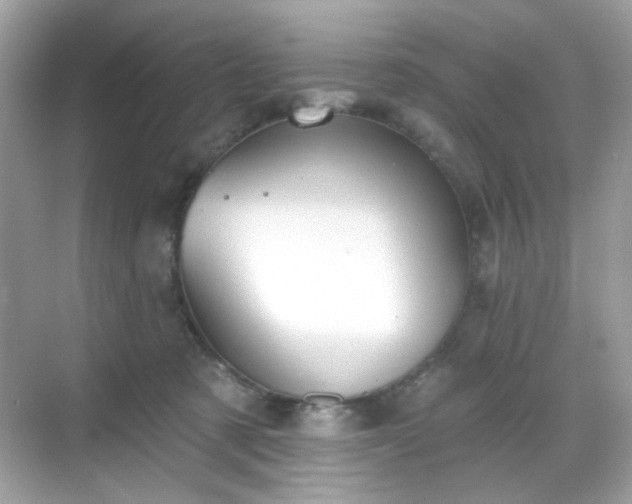 X0000068720321200605051440