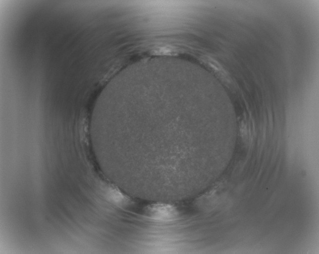 X0000068720322200605051440