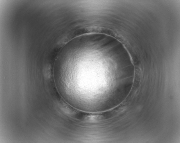 X0000068720323200605051440