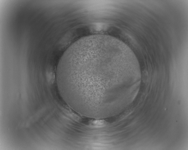 X0000068720324200605051440