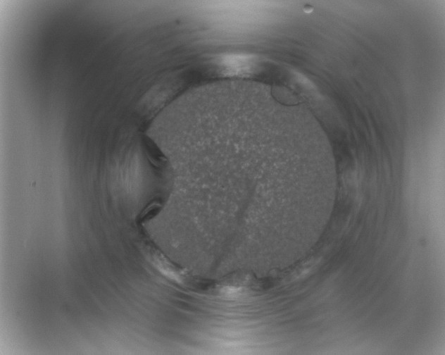 X0000068720325200605051440