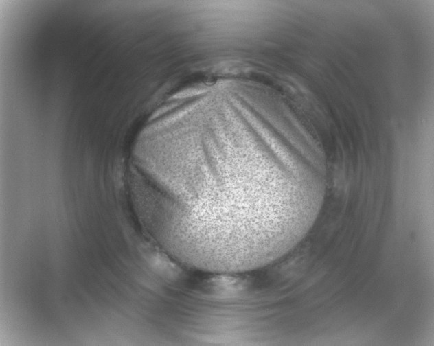 X0000068720326200605051440