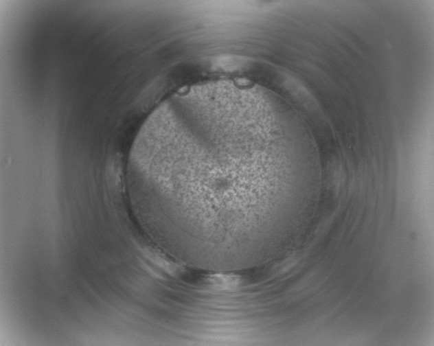 X0000068720328200605051440