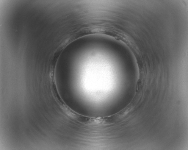 X0000068720329200605051440