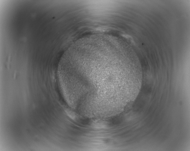 X0000068720331200605051439