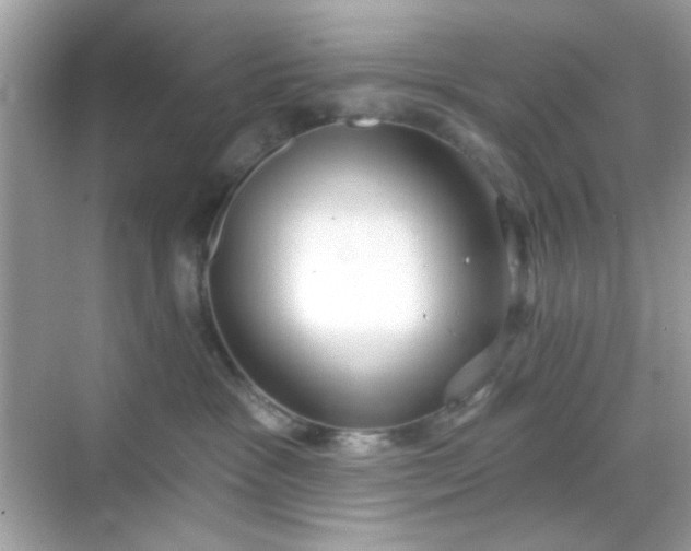 X0000068720333200605051439