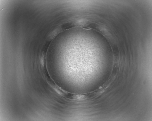 X0000068720334200605051439