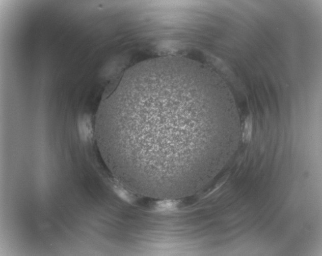 X0000068720335200605051439