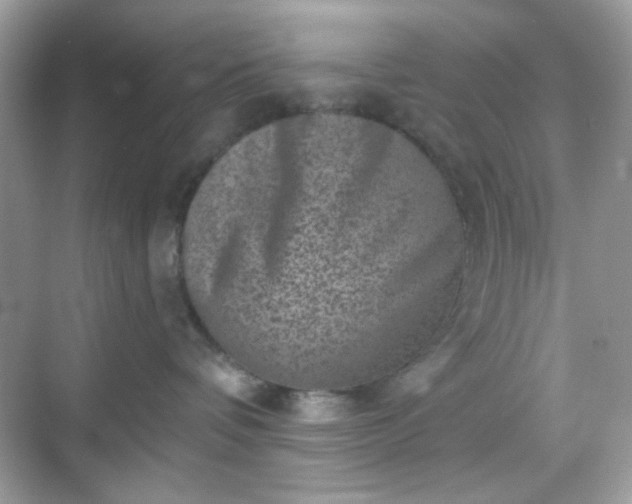 X0000068720336200605051439