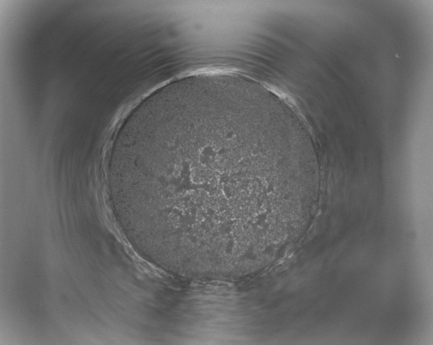 X0000068720337200605051439