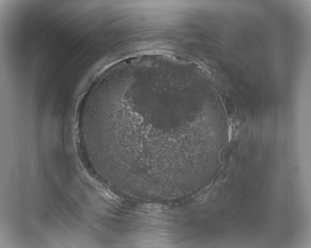 X0000068720339200605051439