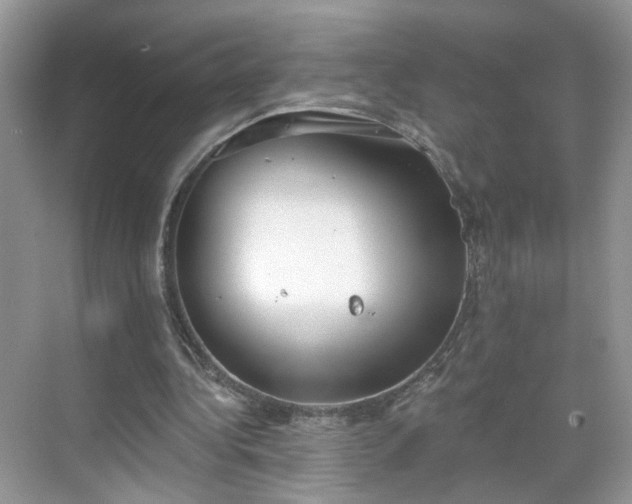 X0000068720340200605051439