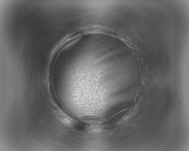 X0000068720341200605051439