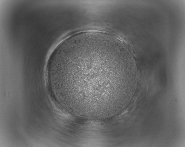 X0000068720343200605051439