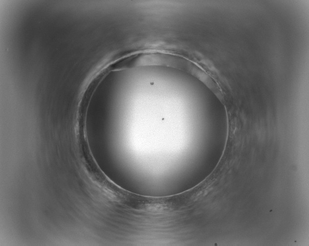 X0000068720344200605051439