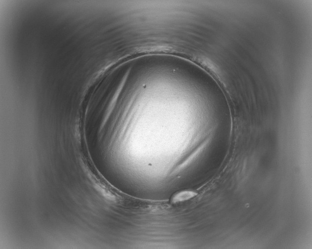 X0000068720345200605051439