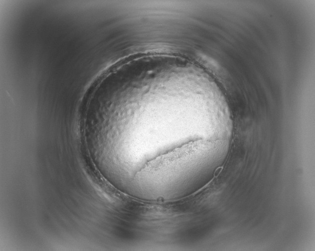 X0000068720347200605051439