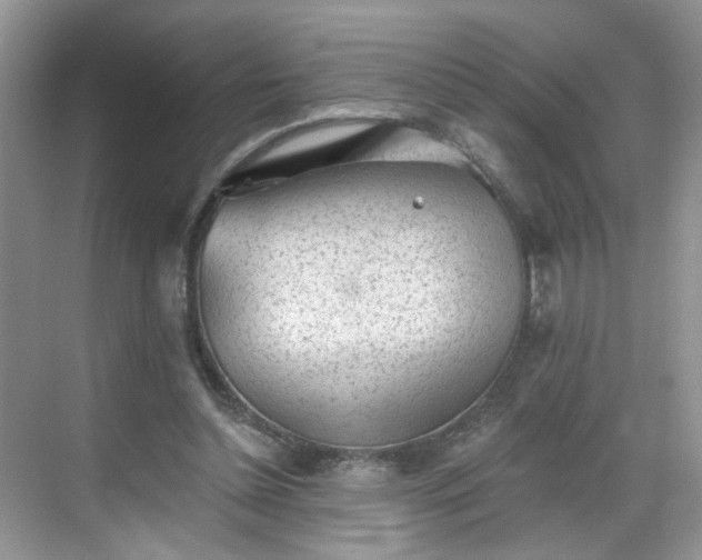 X0000068720348200605051439