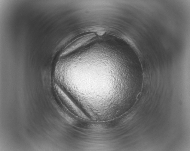 X0000068720349200605051439