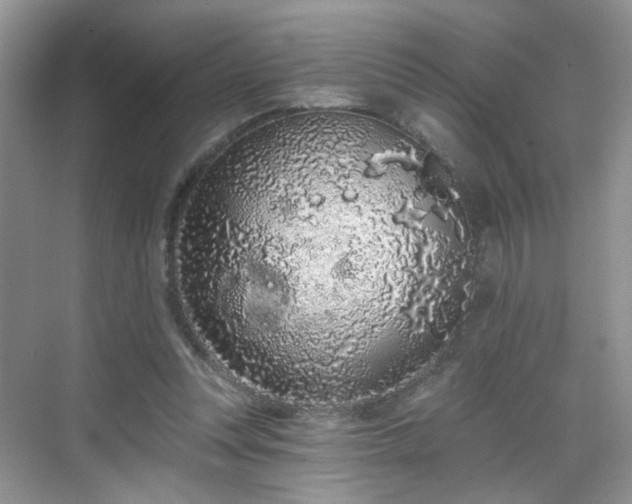 X0000068720351200605051439