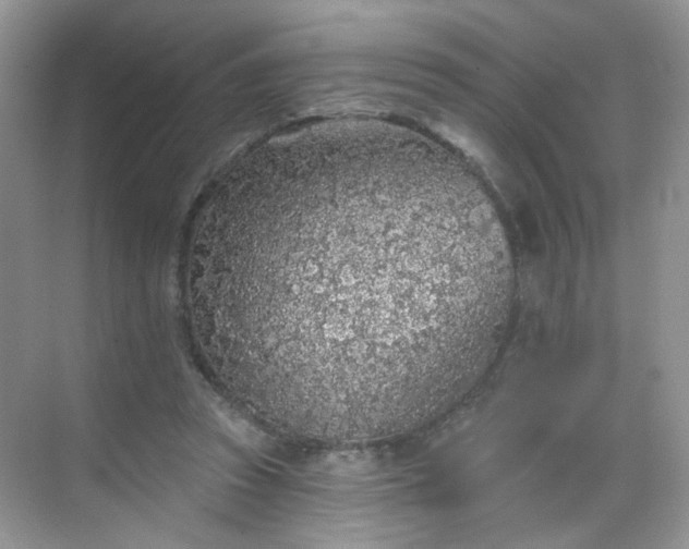 X0000068720353200605051439