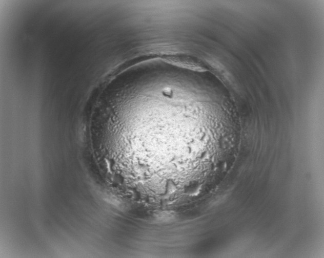 X0000068720355200605051439