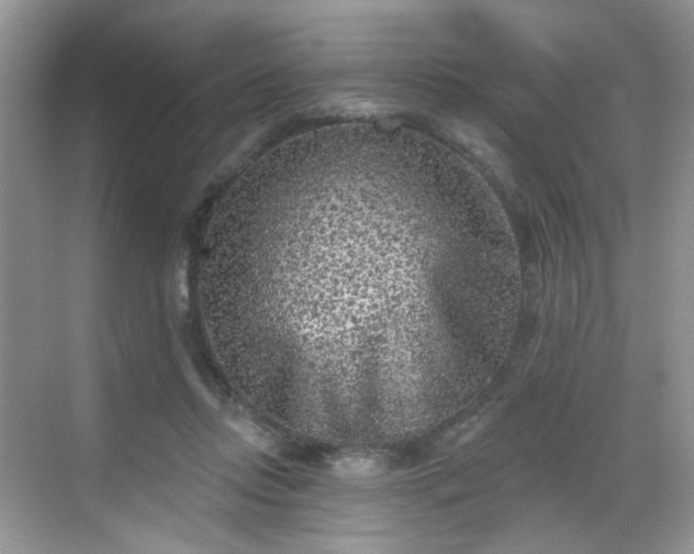 X0000068720358200605051439