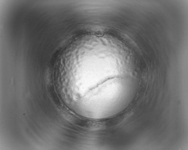 X0000068720359200605051439