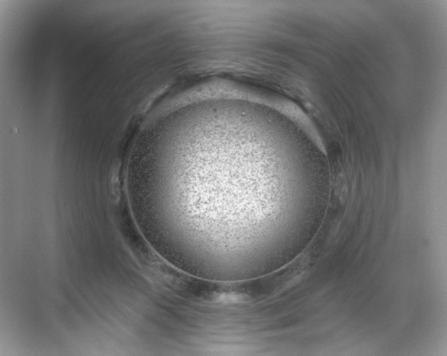 X0000068720360200605051439