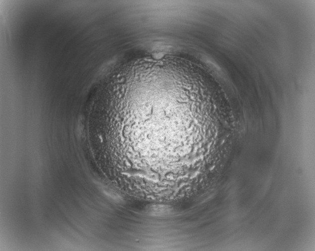 X0000068720361200605051439