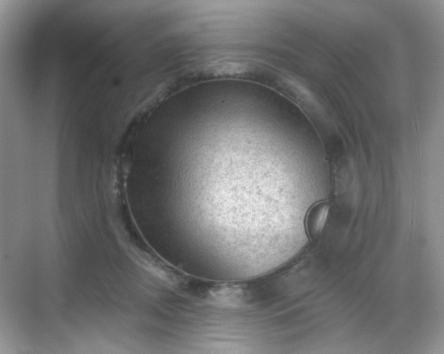 X0000068720362200605051439