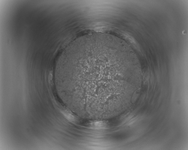 X0000068720365200605051439