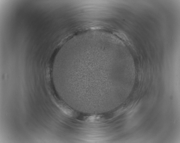 X0000068720366200605051439