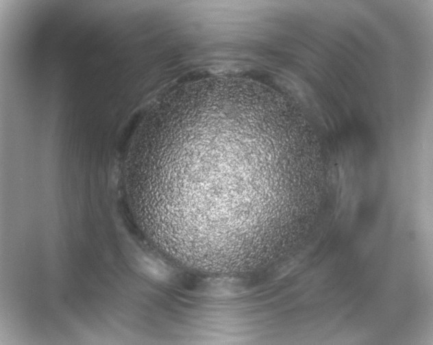 X0000068720367200605051439