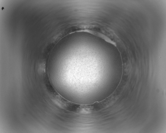 X0000068720368200605051439