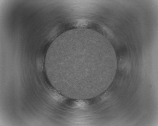 X0000068720370200605051439