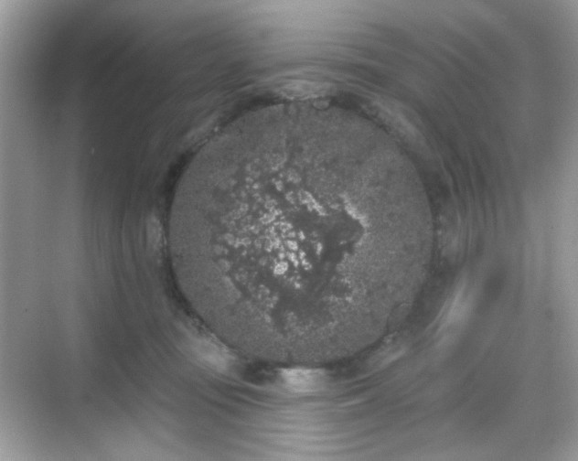 X0000068720371200605051439