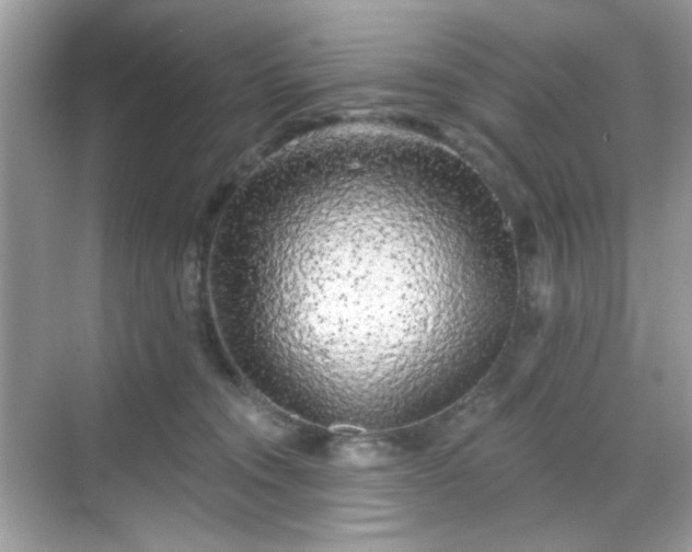 X0000068720372200605051439