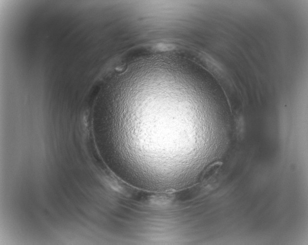 X0000068720373200605051439