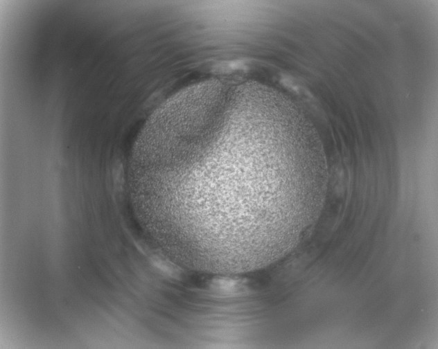 X0000068720375200605051439