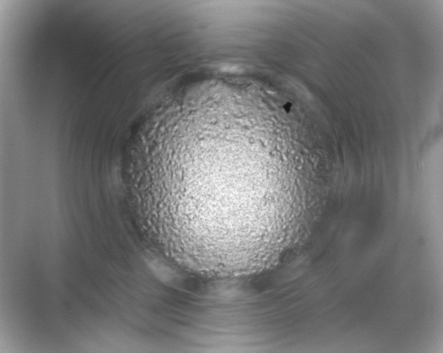 X0000068720377200605051439