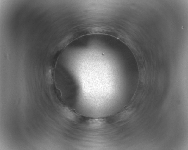 X0000068720378200605051439