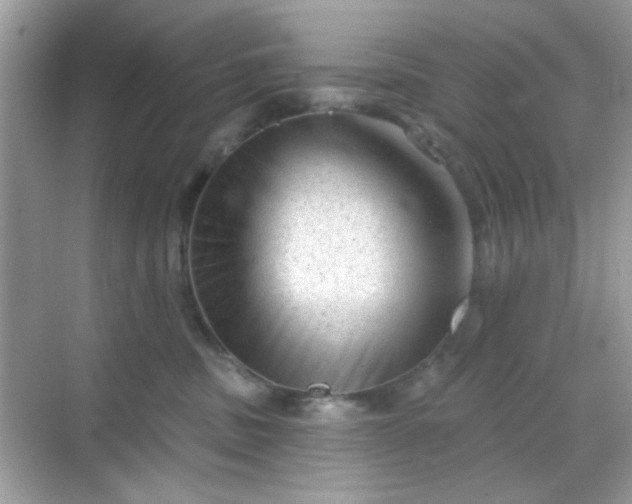 X0000068720379200605051439