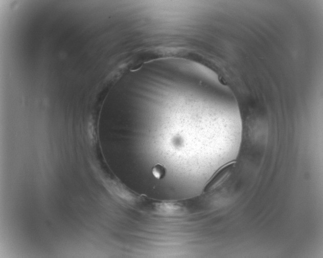 X0000068720380200605051439