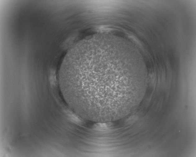 X0000068720381200605051439