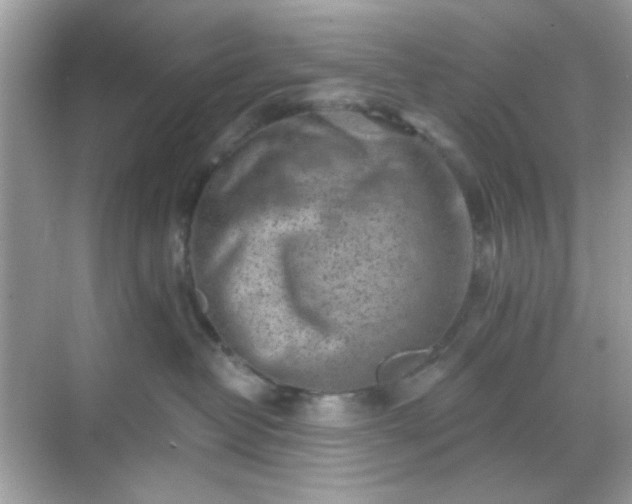 X0000068720382200605051439